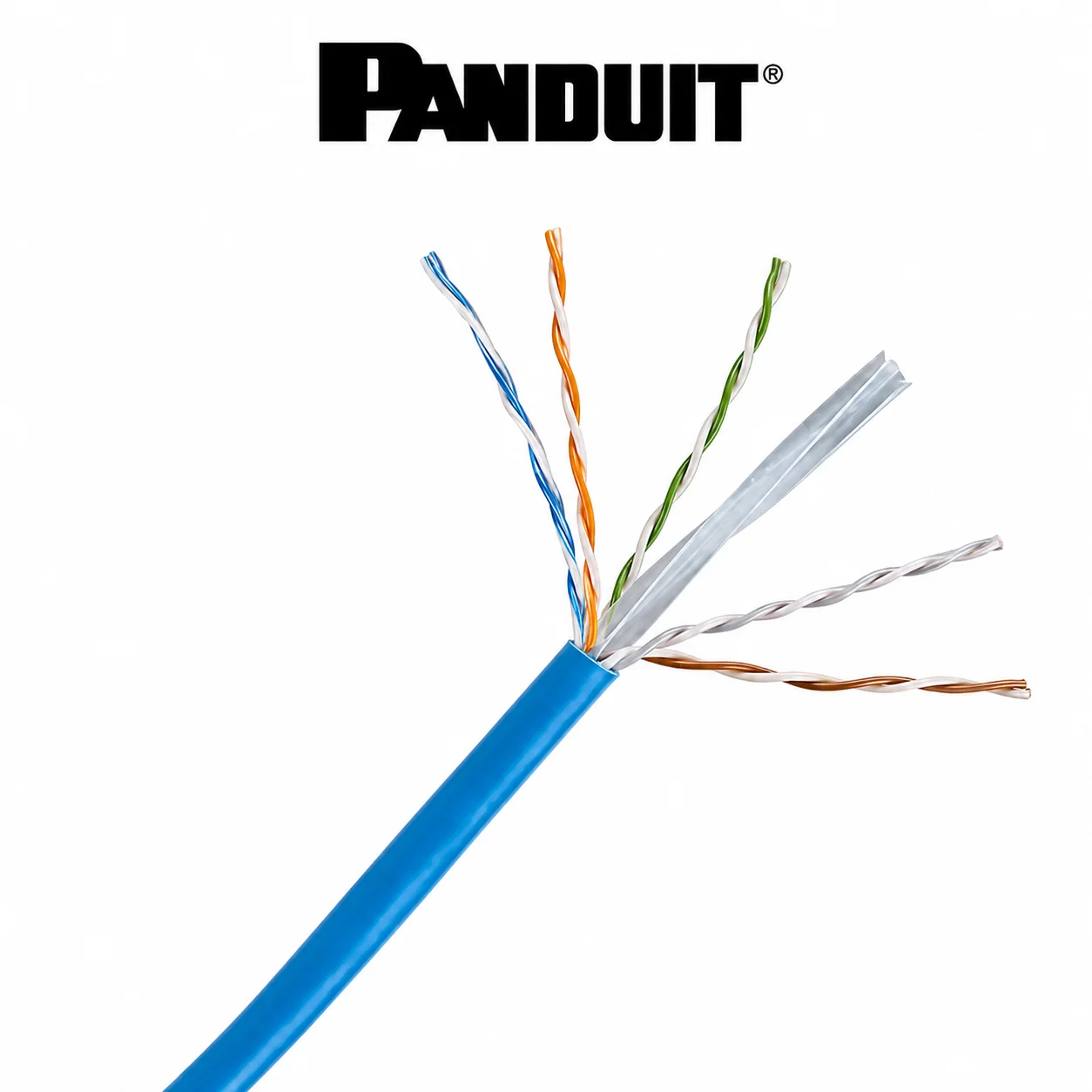 Panduit